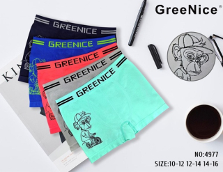 Chlapecké bezešvé trenkoslipy GREENICE (10-16)